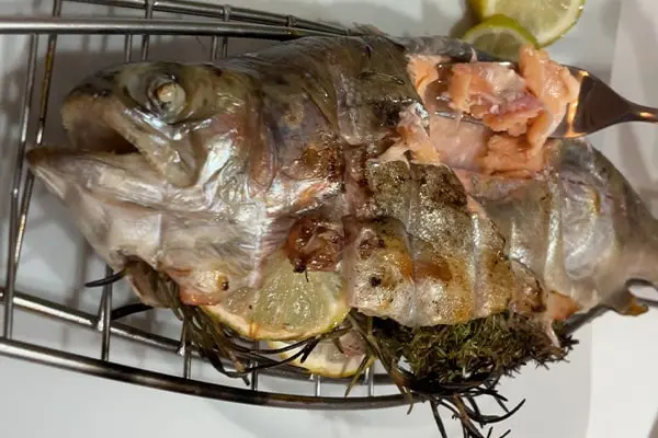 Gegrillte Lachsforelle - Rezept